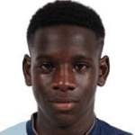 Mamadou Fofana II