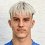 M. Vasil