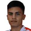 Jugador 312047