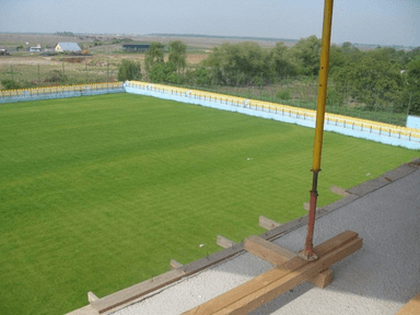 Clinceni - Arena 1