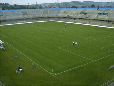 Avicor Stadium Selvapiana