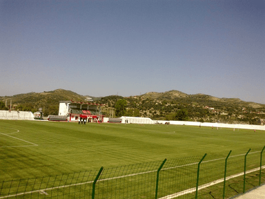 Stadiumi Adush Muça